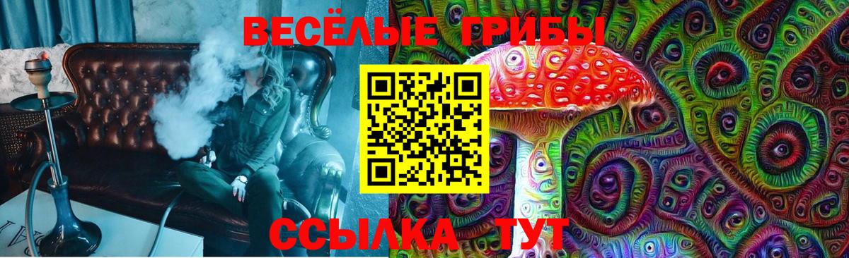 Евпатория  Галлюциногенные грибы Psilocybe  Вход с VPN 
